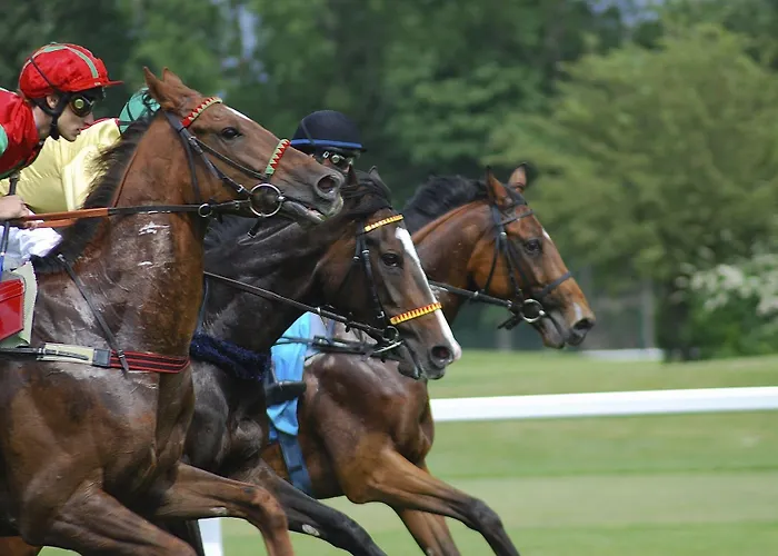 Hotel Queens Boutique